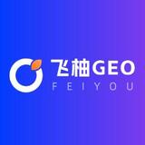 廣州GEO優化哪家強？解析飛柚網絡的專業優勢